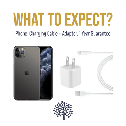 iPhone 11 Pro