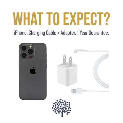 iPhone 16e